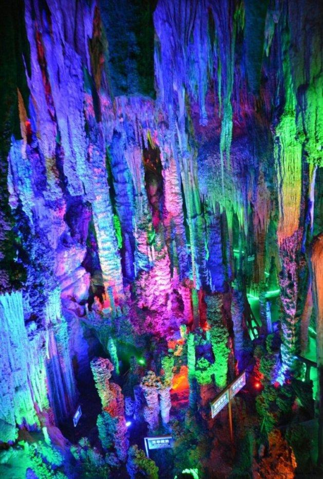 为什么有的人不愿结婚?—全面问答,满足你的求知欲望