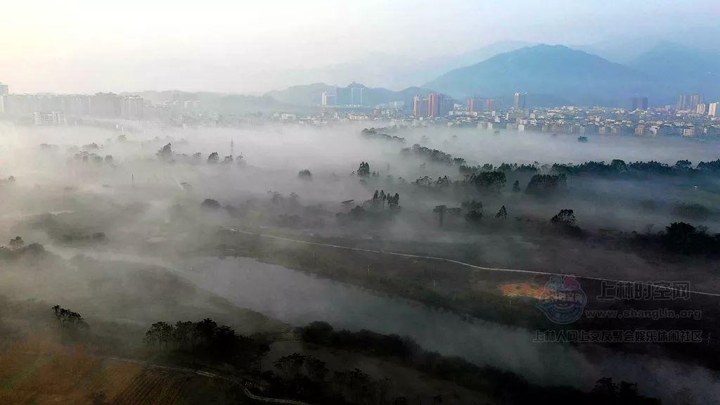 口袋侏罗纪
