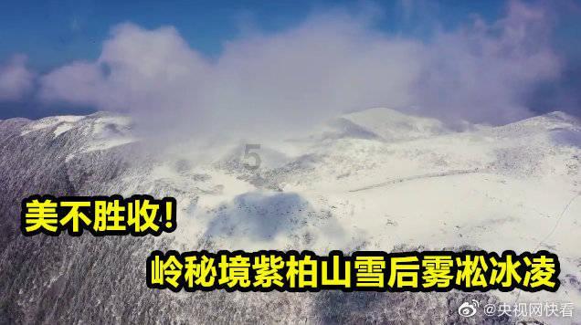 逃离蜥蜴森林