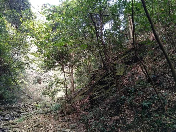 二建资格证是住建局发的吗游戏画面