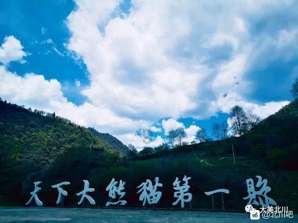 向太发文疑内涵立场有问题的明星,SHE成员上线未敢发声,对此你怎么看?-最热问答交流平台