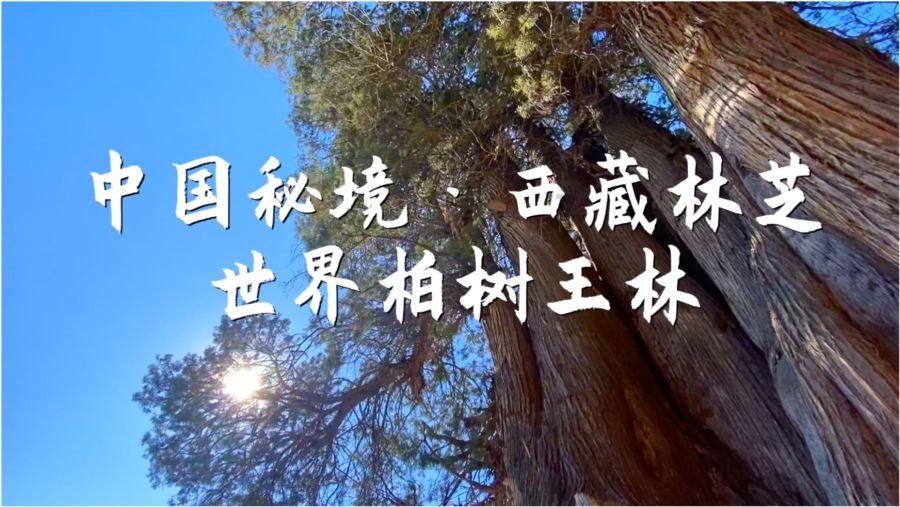 质量效应3
