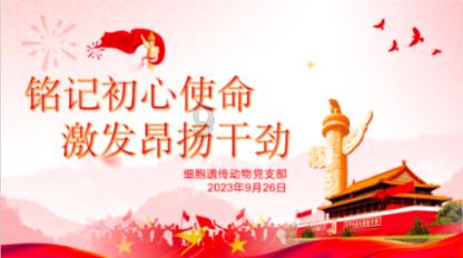 记者:拜仁对博伊的报价提升至3000万欧+200万欧浮动