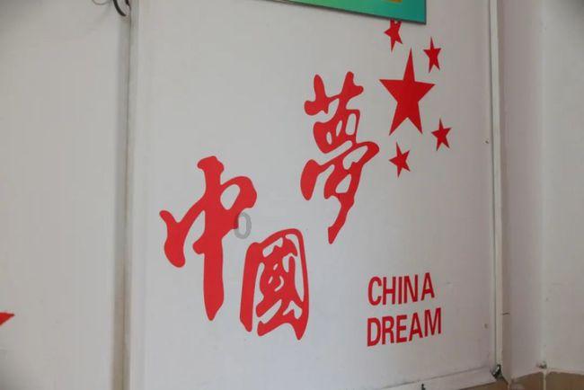 金刚鹦鹉逃生