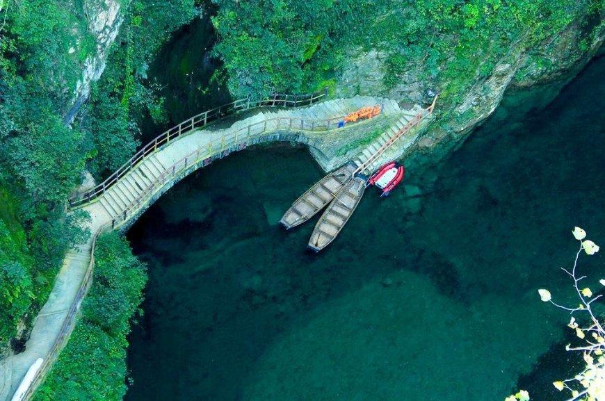 居民们投票出来的年夜饭，开始预订啦！| 爱申活暖心春